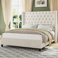 Papajet Fabric Bed Frame with a 51.6" Wingback Headboard Featuring Velvet Material, Deep Button Tufting, And Nail Head Detailing.
